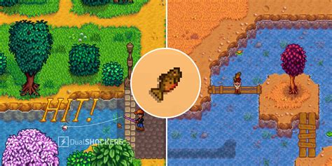 tiger trout stardew